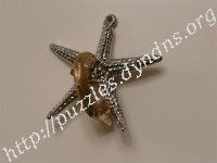 Cast Starfish